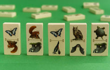 Load image into Gallery viewer, Renature